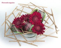 /album/virag-dekoracio/a165455-164598056917105-3410232-n-jpg/