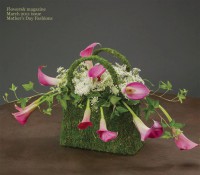 /album/virag-dekoracio/a185867-181135055263405-812839-n-jpg/