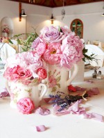 /album/virag-dekoracio/a261634-207899222586542-94797-n-jpg/