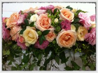 /album/virag-dekoracio/a318096-407581569282962-1734284219-n-jpg/