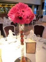 /album/virag-dekoracio/a422462-229963727100003-1401037037-n-jpg/