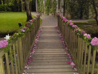 /album/virag-dekoracio/a425753-229963217100054-1002986718-n-jpg/