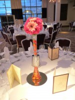 /album/virag-dekoracio/a428016-229963583766684-760556857-n-jpg/