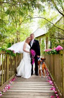 /album/virag-dekoracio/a429230-229962403766802-1797548487-n-jpg/