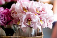 /album/virag-dekoracio/pink-flowers-539-11-m-jpg/