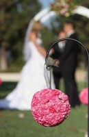 /album/virag-dekoracio/pink-flowers-691-11-m-jpg1/