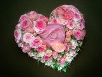 /album/virag-dekoracio/dsc06673-jpg/