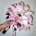 /album/csokrok/pinklilyorchidemilysweden-jpg/