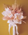 /album/csokrok/wa98806-fal01-fpink-xl-jpg/