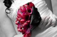 /album/csokrok/calla-menyasszonyi-jpg/