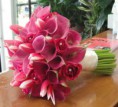 /album/csokrok/mini-calla-lilies-roses-fucsia-jpg/