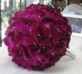 /album/csokrok/purple-orchids-jpg/